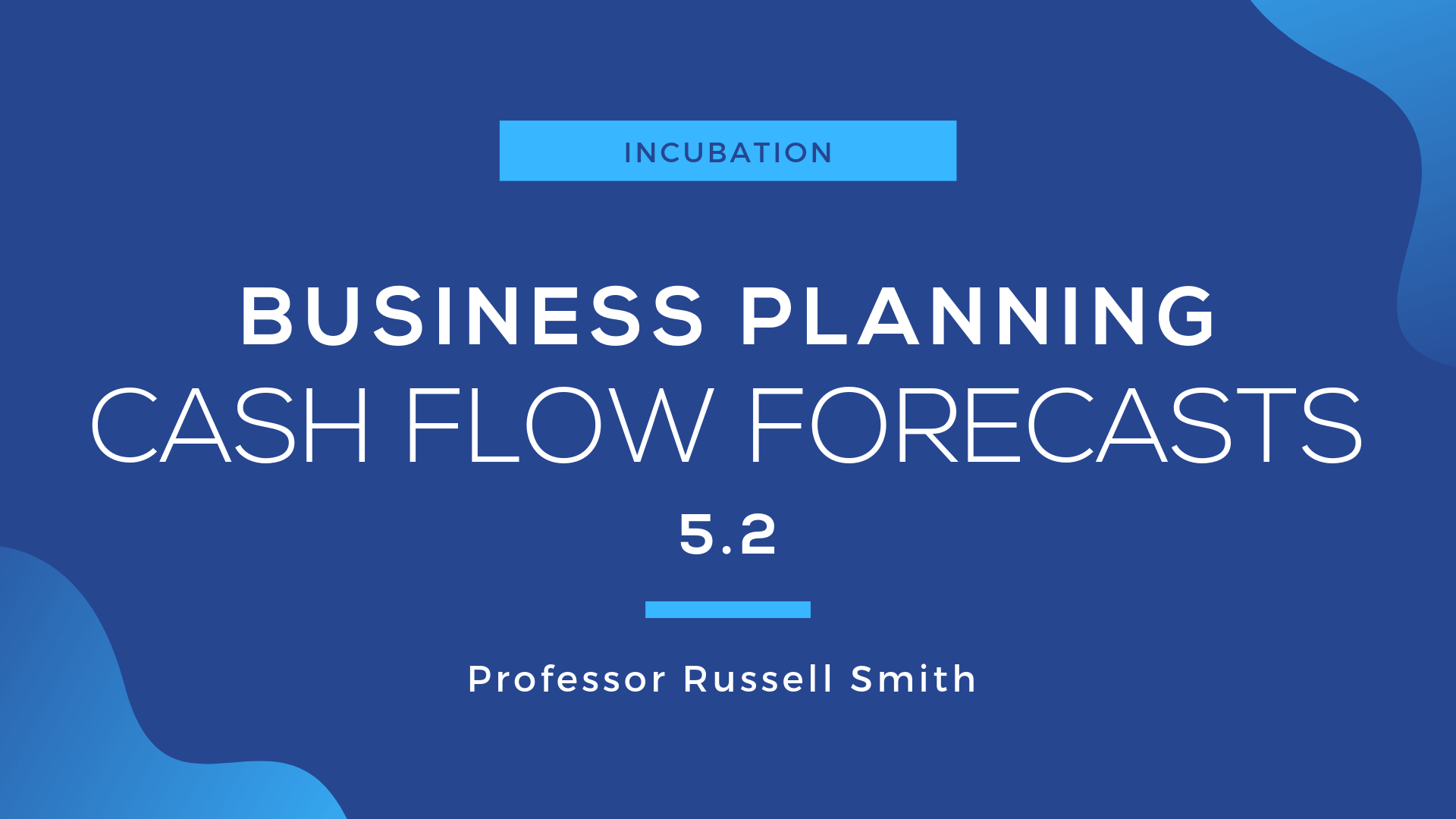 section 5.2 the business plan